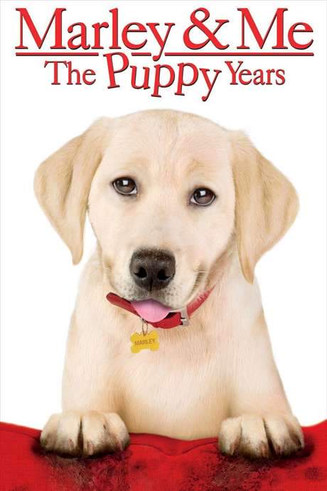 Marley & Me: The Puppy Years